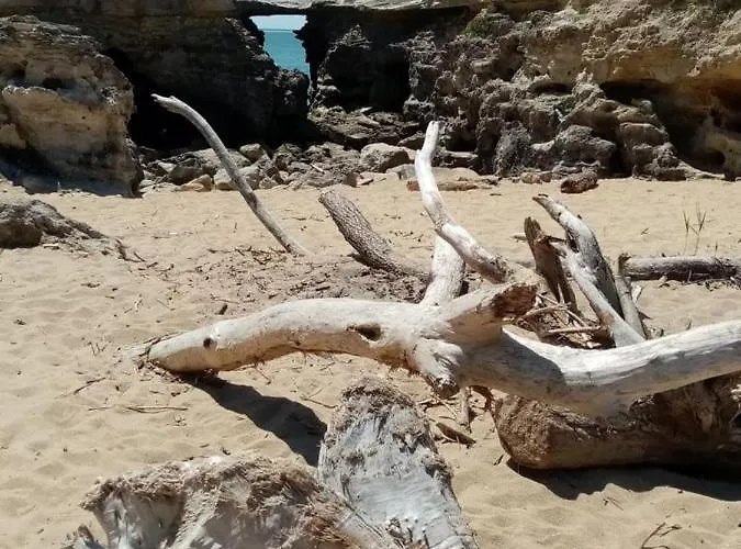 Bed and breakfast Kairos Saint-Sulpice-de-Royan