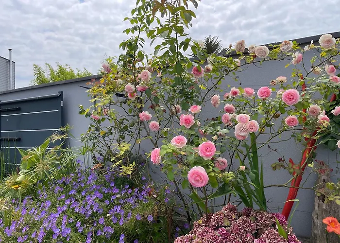 Bed and breakfast Kairos